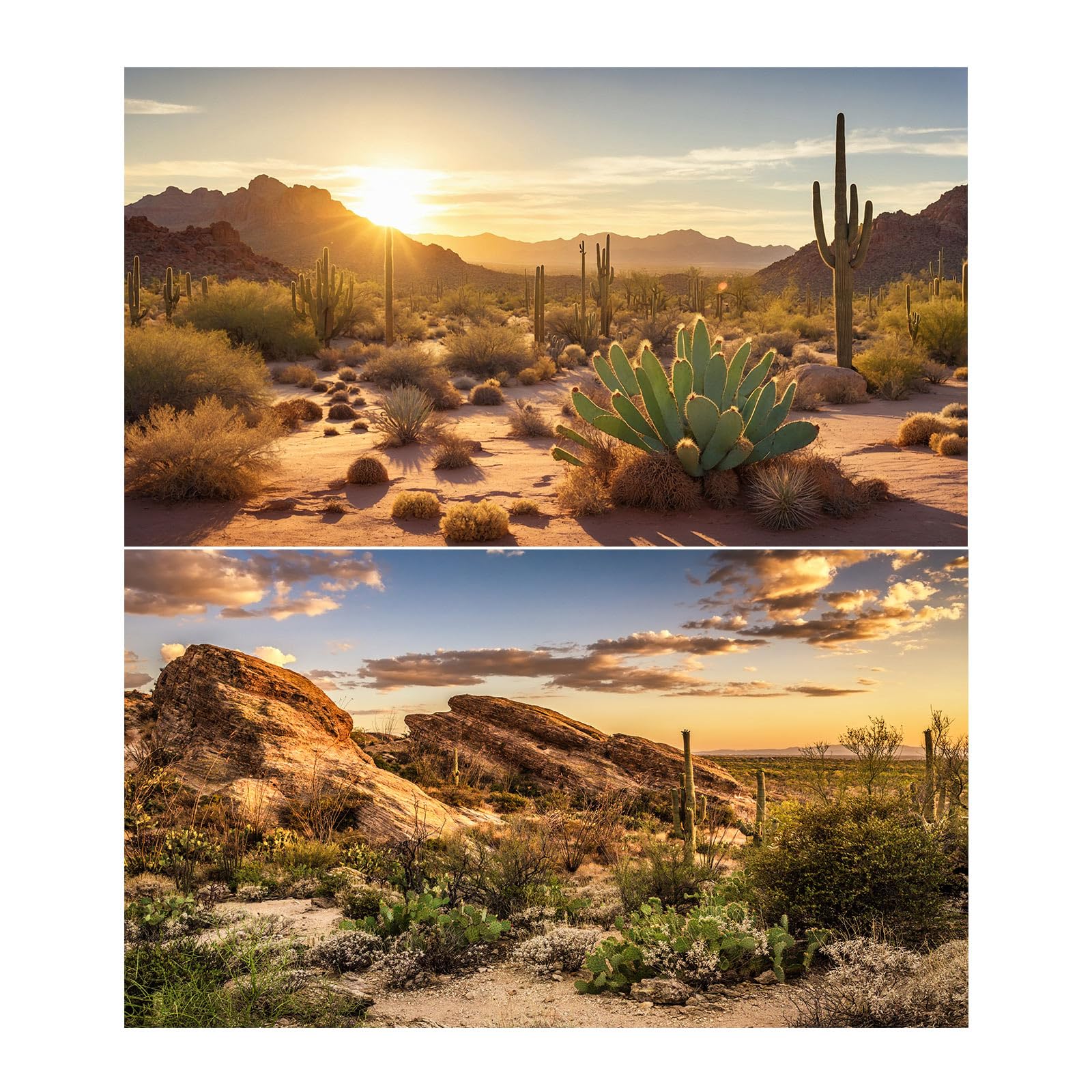 Photo 1 of 2 Packs Desert Mountain Reptile Tank Background Sunset Desert Gobi Cacti Sand Dunes Aquarium Background Saguaro Sandstone Rock Mountain Range Scenery Aquarium Reptile Enclosure Backgrounds 48x18in