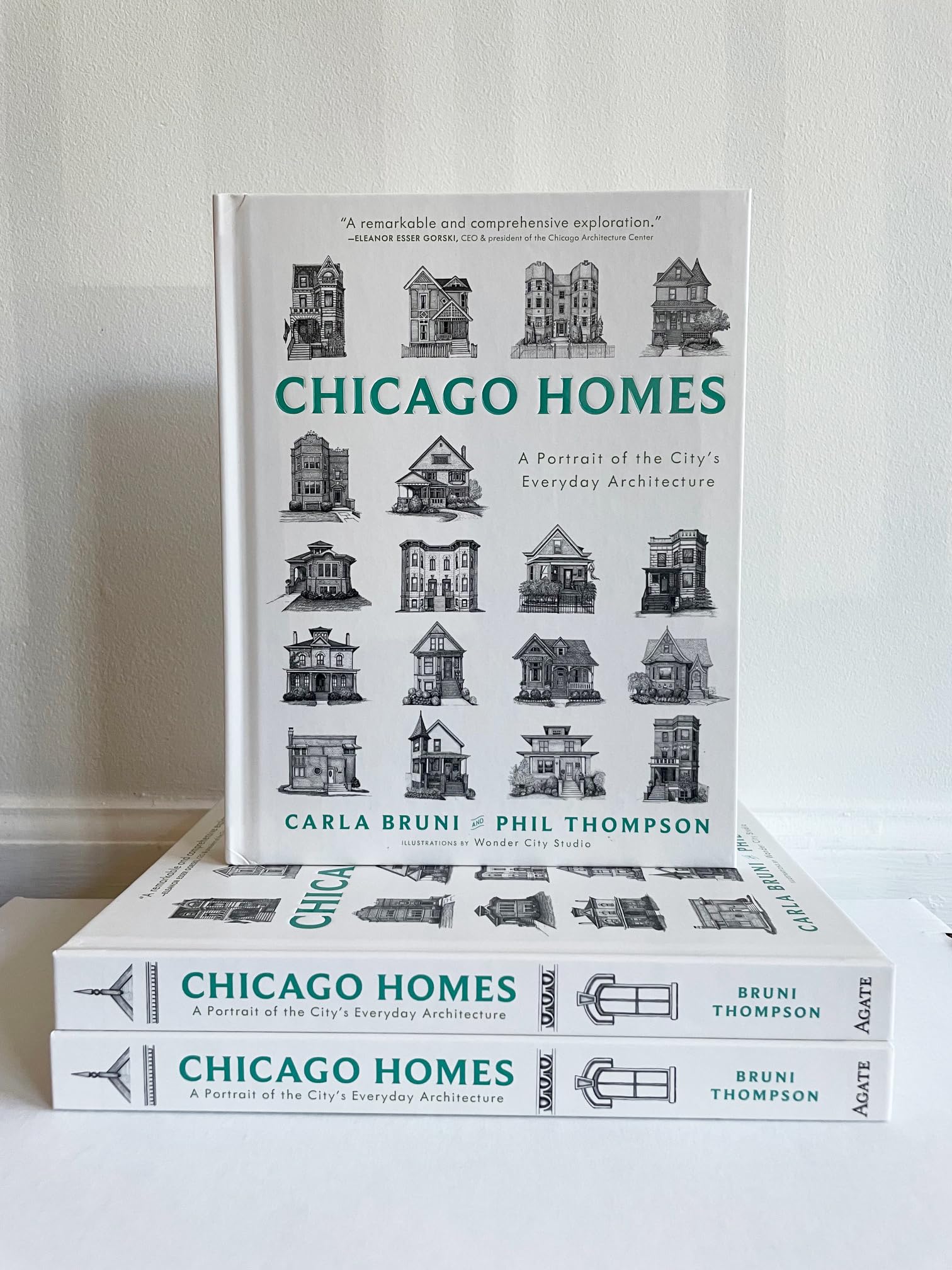 Chicago Homes: A Portrait of the City's Everyday Architecture Chicago Homes: A Portrait of the City's Everyday Architecture Hardcover Kindle