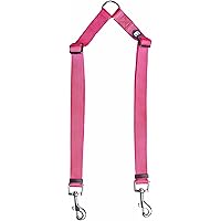 Blueberry Pet Essentials 20+ Colors Durable Classic Dog Leashes, Double Handle Leashes, Rope Leashes