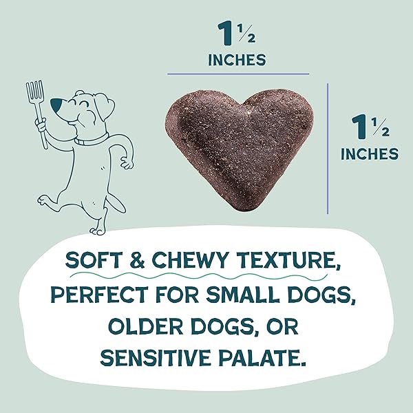 SHAMELESS PETS SOFT-BAKED DOG TREATS, BLUEBERRIED TREASURE – NATURAL & HEALTHY DOG CHEWS WITH MINT FOR IMMUNE SUPPORT – MADE IN USA, FREE FROM GRAIN, CORN & SOY – 1-PACK