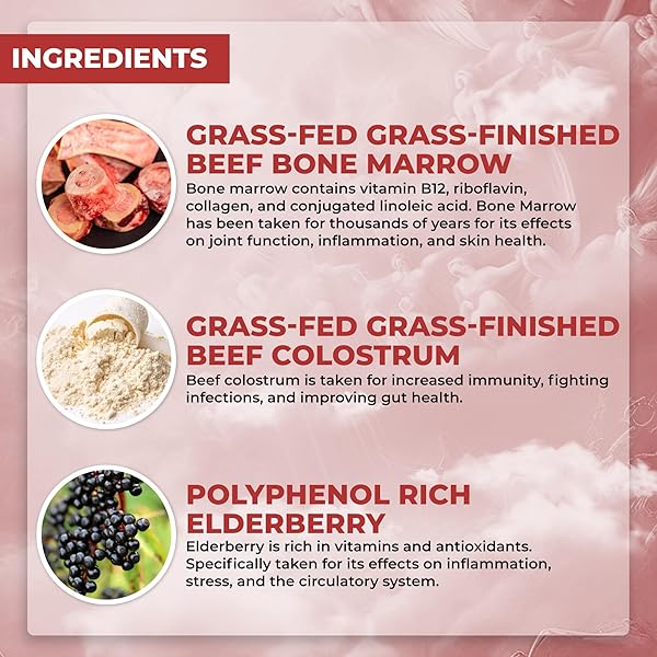 SANTA CRUZ PALEO FOOD OF THE GODS GRASS FED BEEF ORGAN SUPPLEMENT WITH GLUCOSAMINE, BONE MARROW, BEEF LIVER, COLOSTRUM, MACA ROOT & ELDERBERRY, GLUTEN FREE, KETO, SUGAR FREE, PALEO, 30 SERVINGS