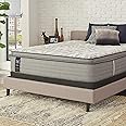 Sealy Posturepedic Spring Silver Pine Euro Pillowtop Soft Feel Mattress, Queen