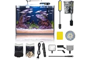 WONDERFACTORY 5 Gallon Small Aquarium Set Glass Fish Tank 6 Gallon, Starter Kit with Heater Water Pump Cleaning System Filter Bright Light Rocks Gravel Cleaning Tool, Leak-Proof Clear Rimless Betta Plants