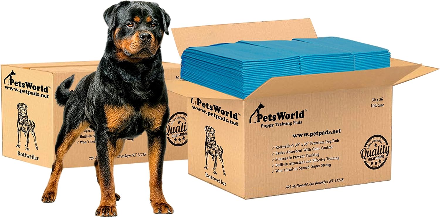 xxl dog training pads