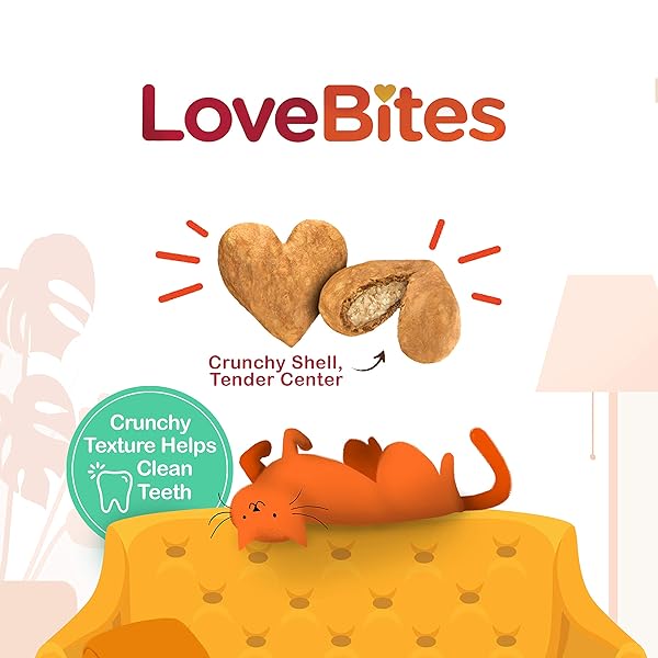 RACHAEL RAY NUTRISH LOVE BITES CAT TREATS, CHICKEN, 30 OUNCES