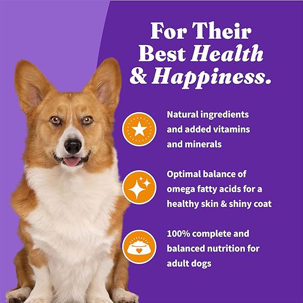 HALO HOLISTIC SMALL BREED DOG FOOD, CAGE FREE CHICKEN & SWEET POTATO RECIPE, GRAIN FREE DRY DOG FOOD, COMPLETE DIGESTIVE HEALTH, 3.5 LB BAG