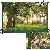 Nature Forest Trees Backdrop 7x5FT Spring Garden Scenery Photography Background Forest Scene Spring Picnic Outdoor Party Decorations Banner Photo Props