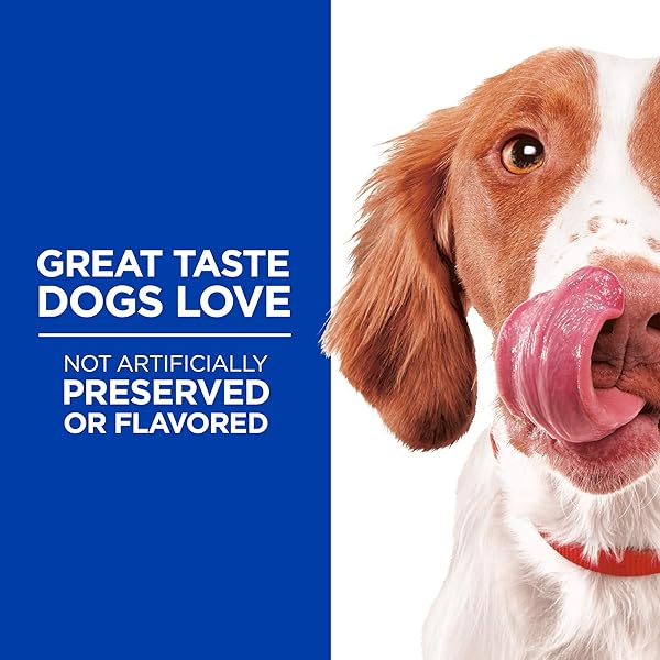 HILL’S NATURAL FLEXI-STIX JERKY, ALL LIFE STAGES, GREAT TASTE, DOG TREATS, TURKEY, 7.1 OZ BAG