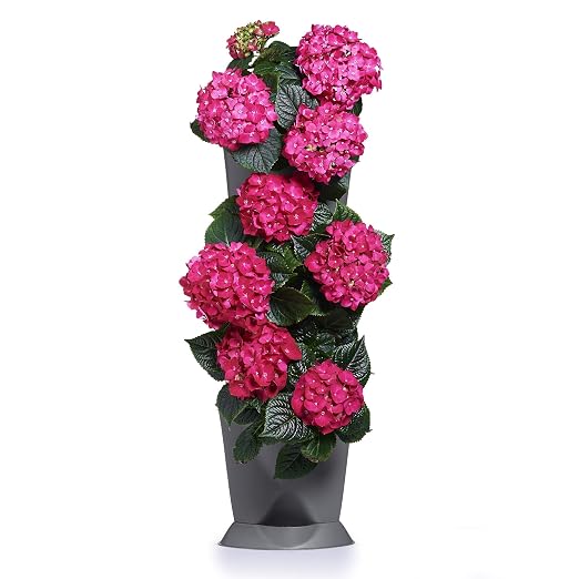 minigarden 1 Juego Corner para 3 Plantas, Jardines en los Rincones ...