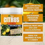 Vitax Citrus Summer Soluble Plant Feed 200G High Nitrogen Discourages Drop view 3