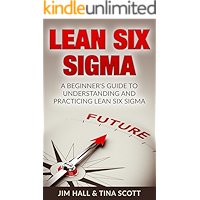 Lean Six Sigma, A Beginner's Guide to Understanding and Practicing Lean Six Sigma book cover