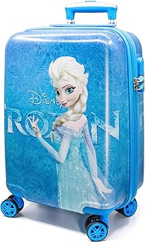 princess carry on luggage