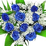 Konservierte rosen Konservierte rosen