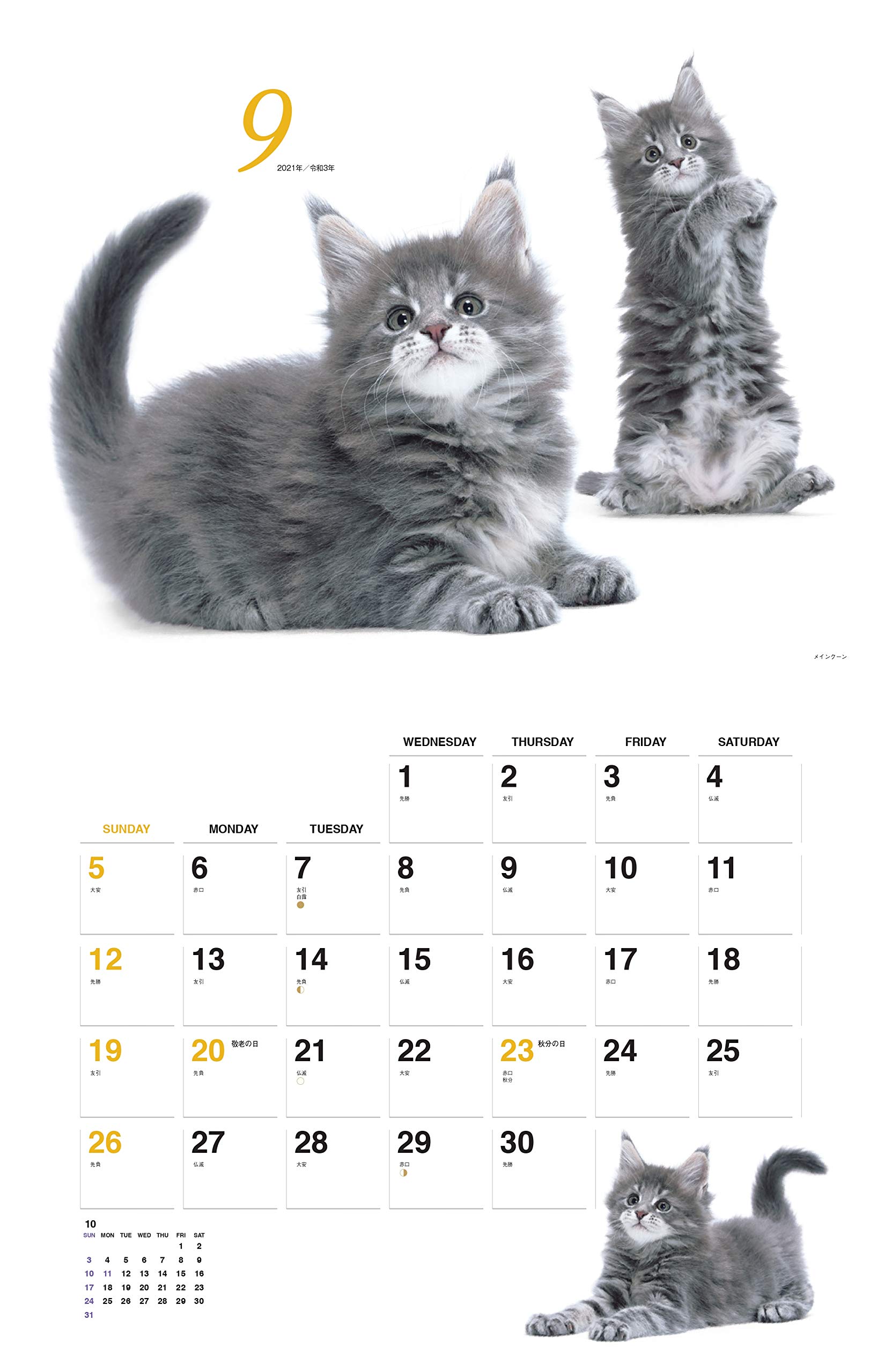 カレンダー21 ほのぼの子ねこ 月めくり 壁掛け ヤマケイカレンダー21 福田 豊文 本 通販 Amazon