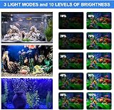 VARMHUS LED Aquarium Light 18cm Submersible with Timer Sunrise Sunset Blue White view 3