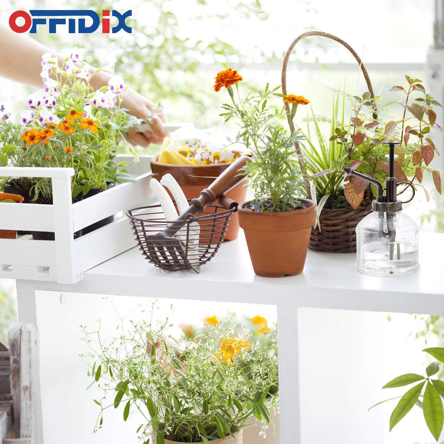 OFFIDIX Transparent Glass Watering Spray Bottle, Plant Mister with Plastic Bronze Plastic Top Pump, Glass Small Watering Can for Indoor Potted Plant, Outdoor Indoor Garden, Plants, Cleaning Solutions : Garden & Outdoor
