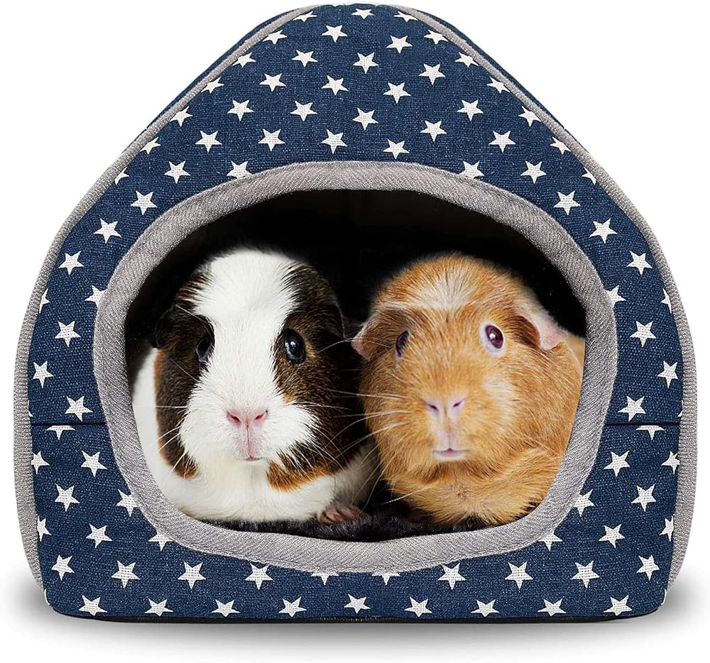 RANYPET Guinea Pig Bed Cave Cozy Hideout Large 26x26x28 cm Blue
