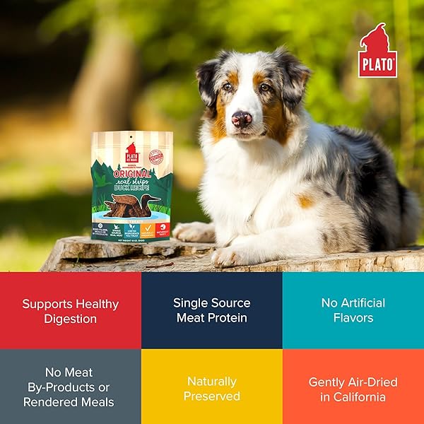 PLATO ORIGINAL REAL STRIPS DUCK 3OZ, NATURAL (850002221534)