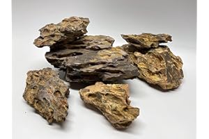 Aquarium Plant Center Small Dragon (Ohko) Stone (2 lbs) Aquarium Decoration Aquascaping Rock