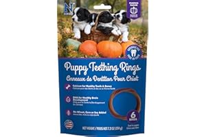 N-Bone Puppy Teething Ring Pumpkin Flavor 7.2 Oz/(6 Pack)