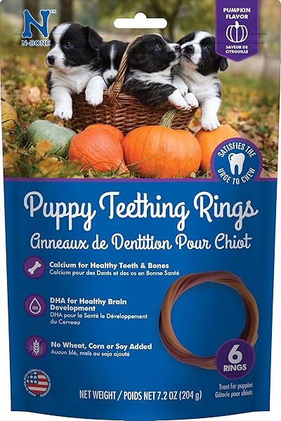 N-BONE PUPPY TEETHING RING PUMPKIN FLAVOR 7.2 OZ/(6...