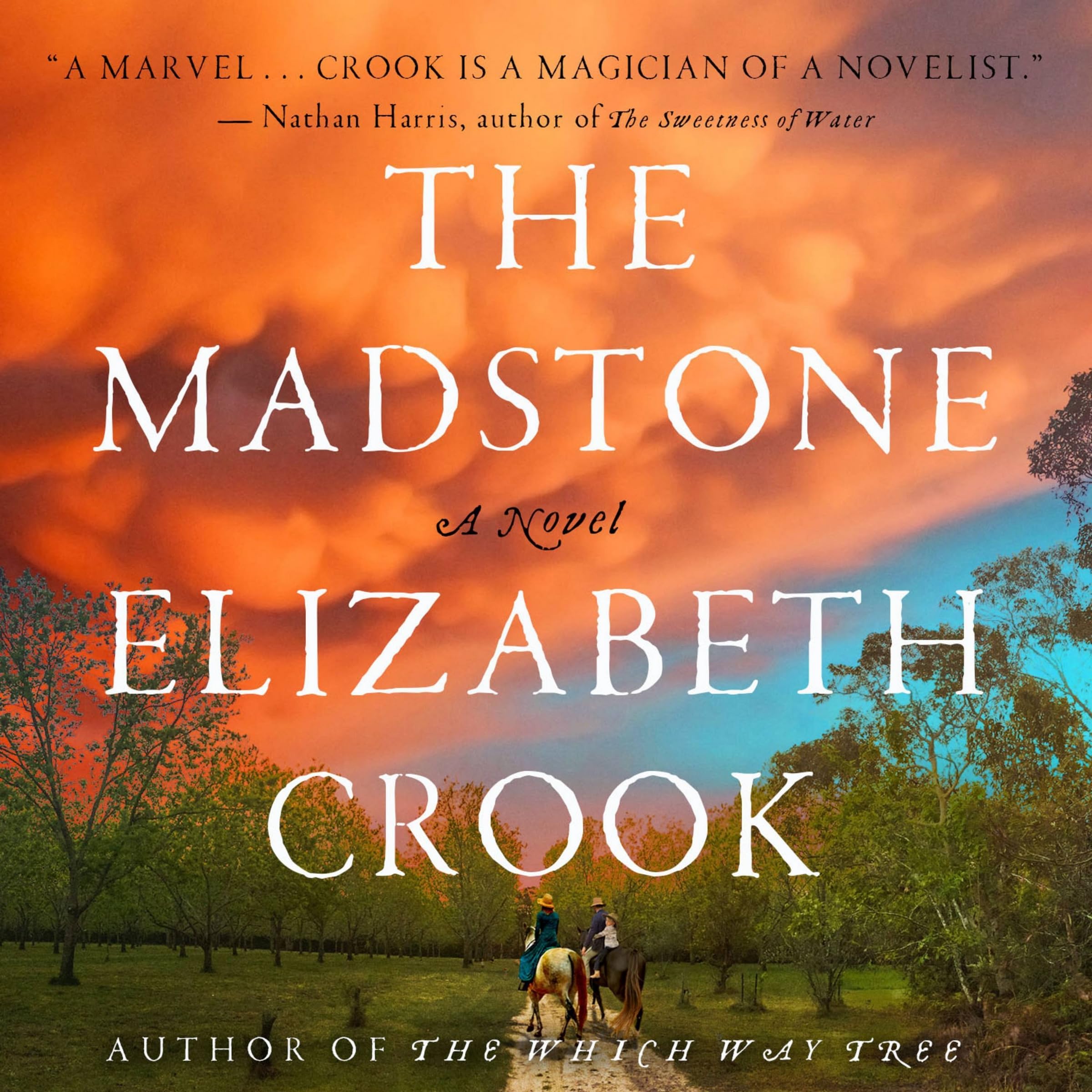 The Madstone: A Novel Image