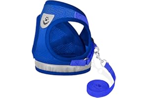 GAUTERF Cat Harnesses and Puppy Harness with Leashes Set, Escape Proof Cat Harness, Adjustable Reflective Soft Mesh Vest Fit Puppy Kitten Rabbit Ferrets's Outdoor Harness