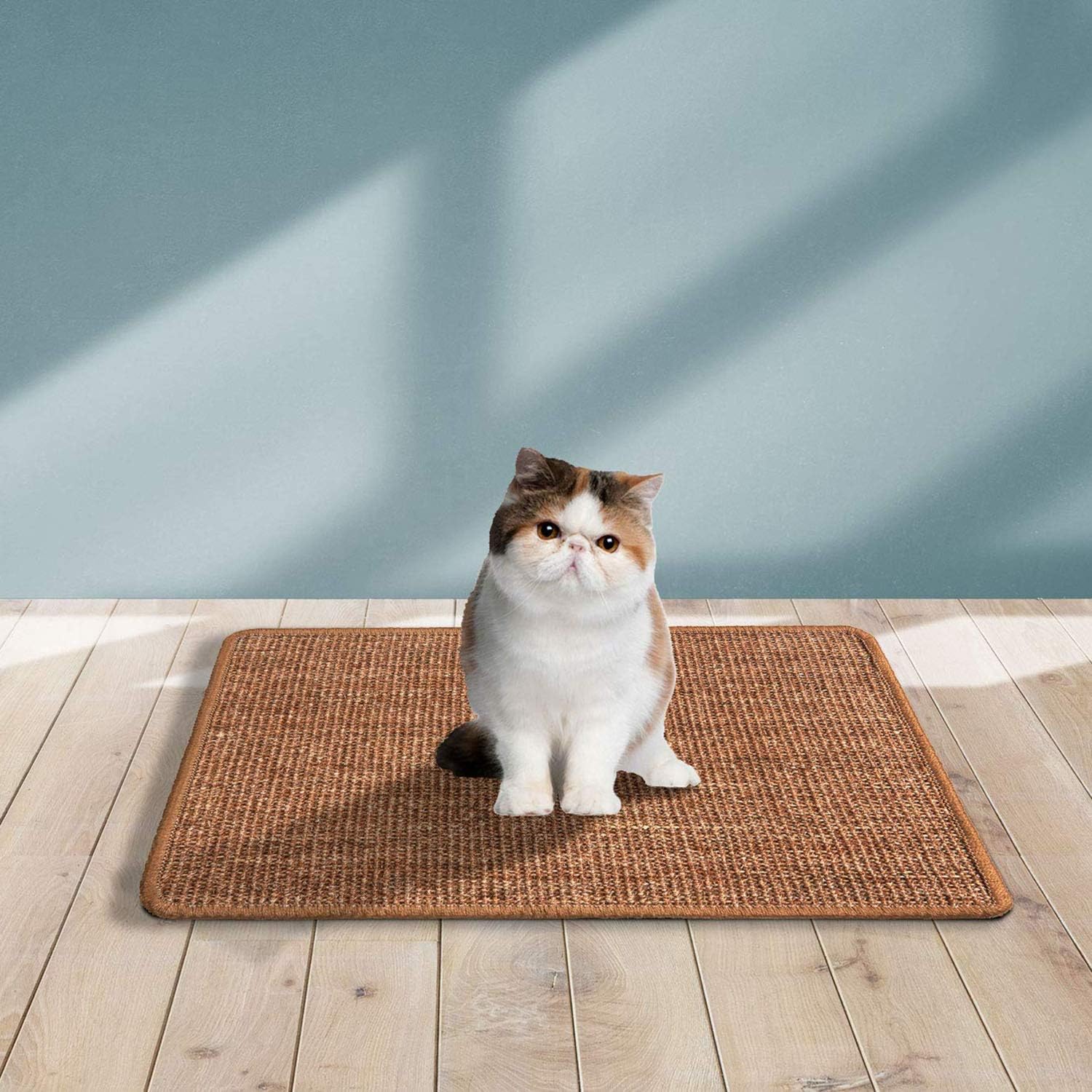 Liyahog Cat Scratcher Mat, Natural Sisal Scratching Pad, Anti-Slip Cat Scratch Rug Sleeping Carpet for Cat Grinding Claws & Protecting Furniture : Pet Supplies