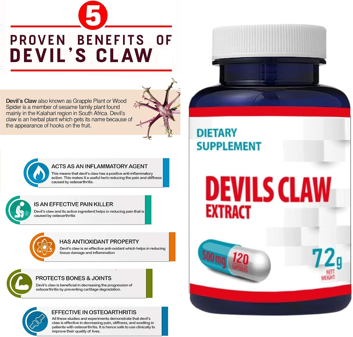 Hepatica Devil’s Claw 10:1 Extract - 5000mg Equivalent, 120 count (Pack of 1) - Image 4