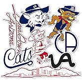 Desert Cactus University of Arizona Sticker UA Wildcats Vinyl Decals Laptop Water Bottle Car Type 2 (T2 Vintage 2)