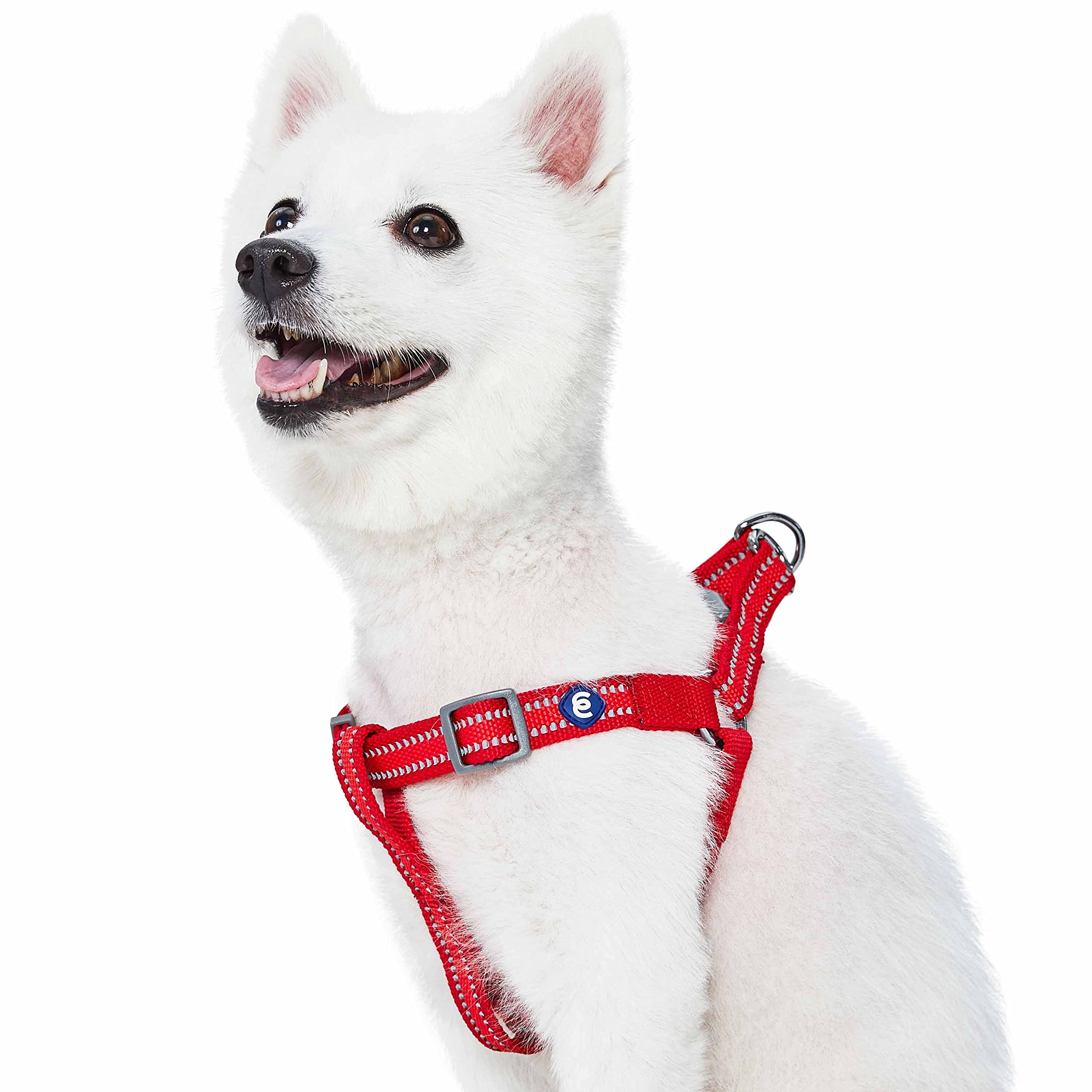 Blueberry Pet Essentials Step-in Reflective Back to Basics Dog Harness, Rouge Red, Chest Girth 67cm-98cm, Large, Adjustable Harnesses for Dogs