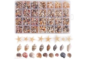 PPCLION 60pcs Tiny Starfish 1800 Pcs Tiny Mini Small Sea Shells for Crafting Spiral Conch Shells for Crafts Charms for Home Decorations Candle Decor DIY Fish Tank and Beach Vase Filler