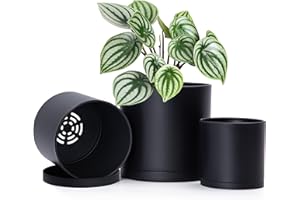 D'vine Dev 4 Inch 5 Inch 6 Inch, Set of 3 Plastic Planter Pots for Plants with Drainage Hole and Seamless Saucers, Black Color, Small, 74-V-B-1