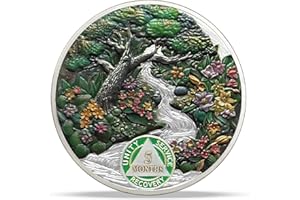 IMASONER 5 Month Sobriety Coin AA Chip, Four Seasons Spring Sober Medallion, 3D Recovery Token with Inspirational Message, Alcoholics Anonymous Gift for Men Women, Sober Chip AA Medallion for Recovery Journey