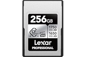 Lexar 256GB Professional CFexpress Type A Silver 4.0 Memory Card, for Photographers, Videographers, Up to max 1750/1650 MB/s,