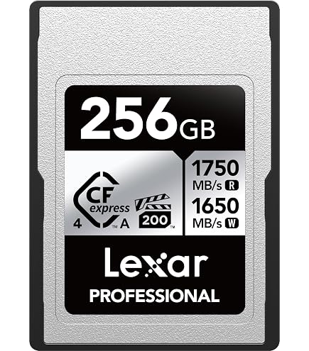 Amazon.com: Delkin Devices 960GB Black CFexpress Type A Memory 