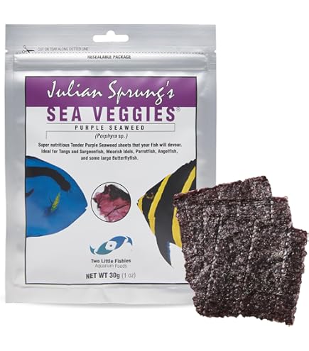 Amazon.com: Two Little Fishies Atlsvgs4 Sea Veg-Green