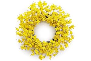 Yellow Forsythia Door Wreath Huashen 24 Inch Spring Summer Front Door Wreath Blossom Cluster Flower Farmhouse on Grapevine for Christmas Celebration Wall Window Decoration Hanging
