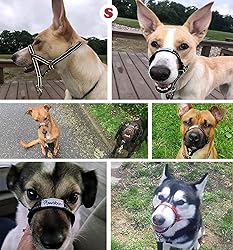 Pawaboo Dog Muzzle, Head Halter Collar for Dog, Pet
