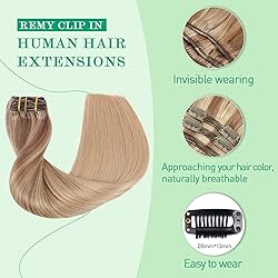 SURNEL Golden Brown to Caramel Blonde Clip in Hair