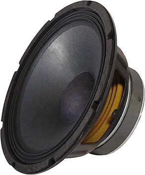 Altavoces PA caja del subwoofer 250 mm 200W 8 Ohm: Amazon.es: Electrónica