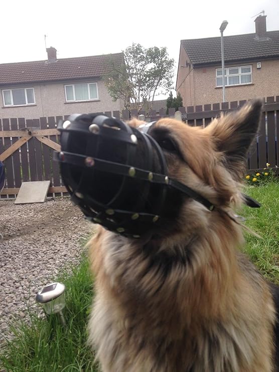 Champion Maulkorb für Hunde, leichtes Leder