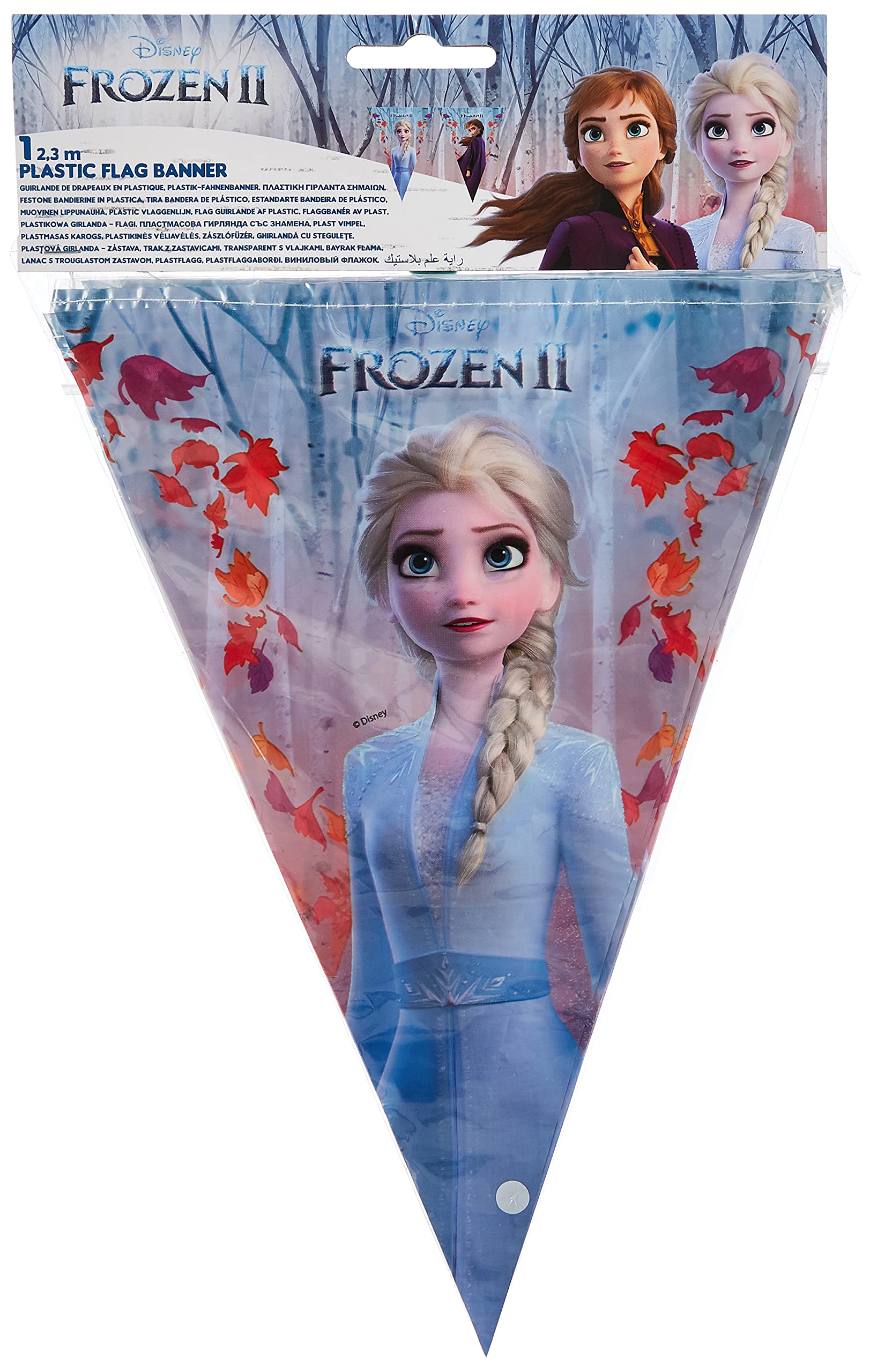 Disney Frozen 2 Party Flag Banner