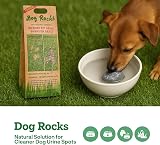 Dog Rocks Urine Patch Preventer 600g Bulk Bag Clear by Dog Rocks view 2