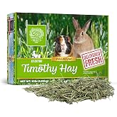 Small Pet Select 1st Cut Timothy Hay Pet Food for Rabbits, Guinea Pigs, and Other Small Animals, Easy to Store Box, 10 LB