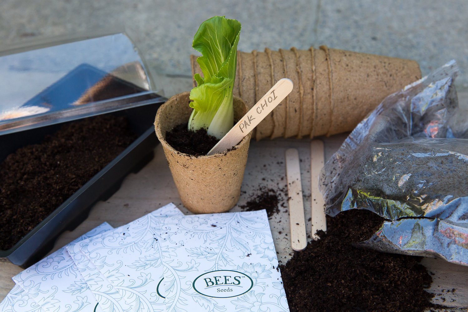 Sow Lush Set de Cultivo de Semillas para Ensalada «Scrumptious ...