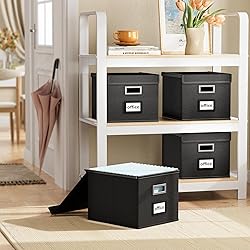 Huolewa Upgraded Portable File Organizer Box, Large