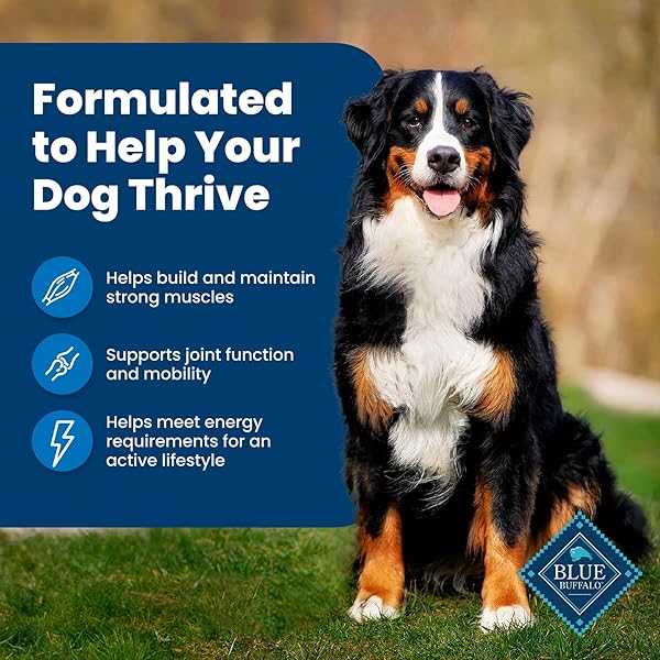 BLUE BUFFALO LIFE PROTECTION FORMULA ADULT DRY DOG FOOD, HELPS BUILD AND MAINTAIN STRONG MUSCLES, MADE WITH NATURAL INGREDIENTS, CHICKEN & BROWN RICE RECIPE, 5-LB. BAG