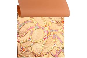 Variegated Gold Leaf Sheets - KINNO Multiple Types of Metal Leaf Papers with Patterns for Gilding Projects,Type10 (25 Sheets Per Booklet)