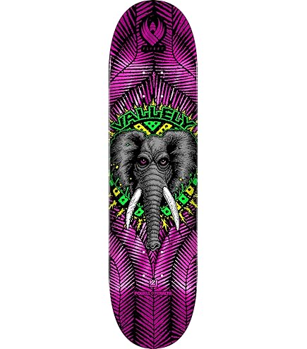 Amazon.com : Powell Peralta Steve Caballero Gundam Flight